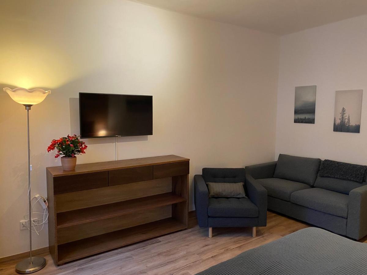 Yellow Ski Apartments Рокитнице над Ийзероу Екстериор снимка