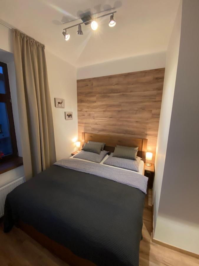 Yellow Ski Apartments Рокитнице над Ийзероу Екстериор снимка