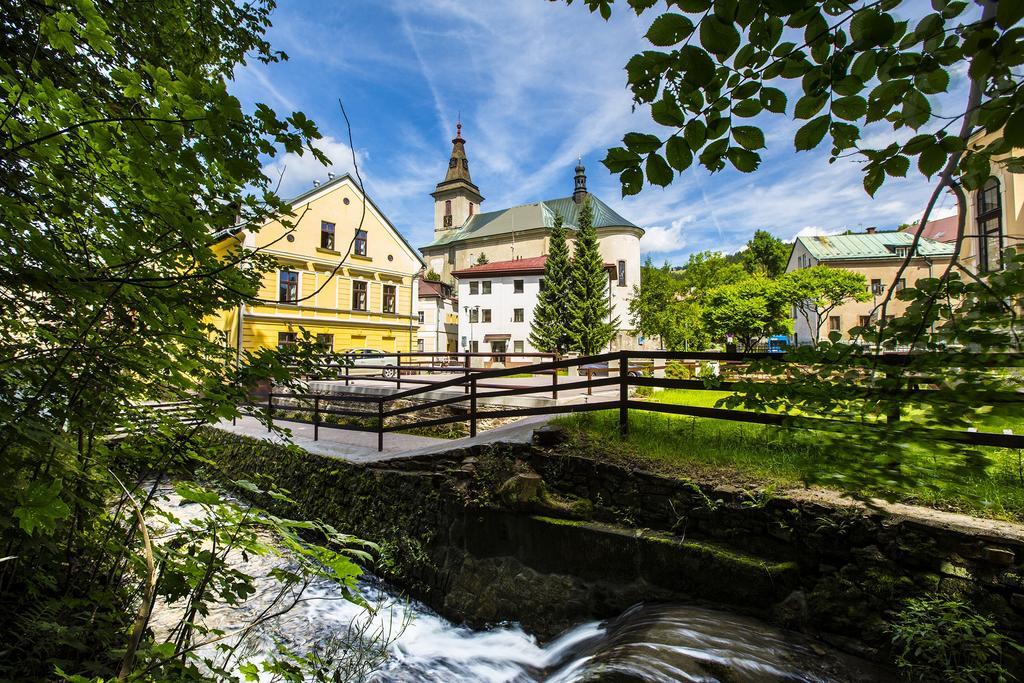 Yellow Ski Apartments Рокитнице над Ийзероу Екстериор снимка